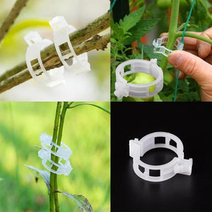 🔥Plant Support Clips🌙