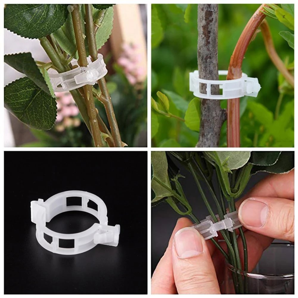 🔥Plant Support Clips🌙